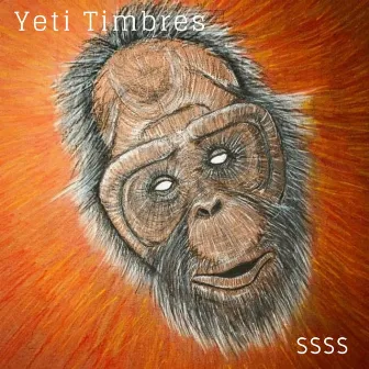 Ssss by Yeti Timbres