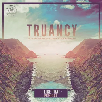 I Like That by Truancy