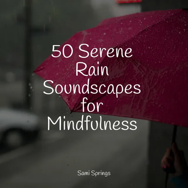 50 Serene Rain Soundscapes for Mindfulness