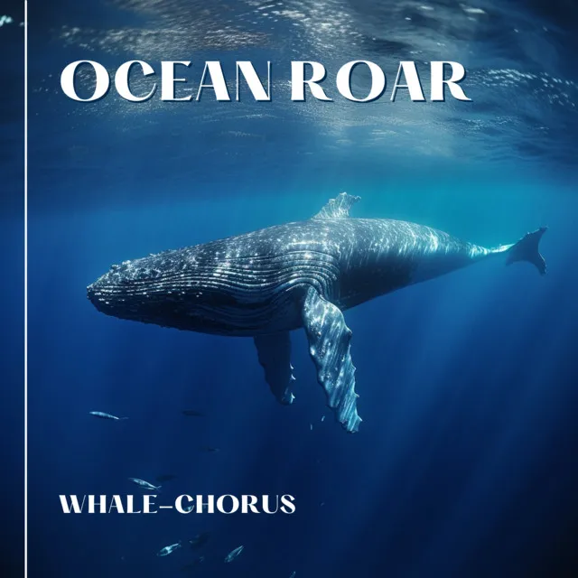 Whale Chorus