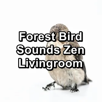 Forest Bird Sounds Zen Livingroom by Nature And Bird Sounds