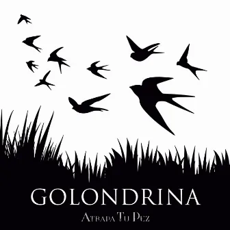 Golondrina by Atrapa Tu Pez