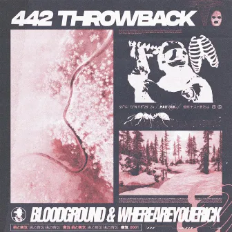 442 THROWBACK by BLOODGROUND