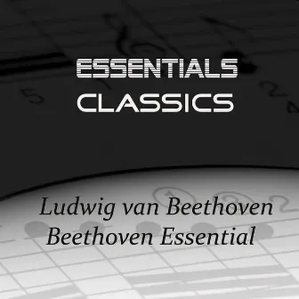 Beethoven Essential by Caspar da Salo Quintet