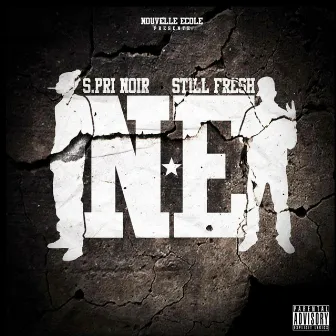 N.E by Still Fresh