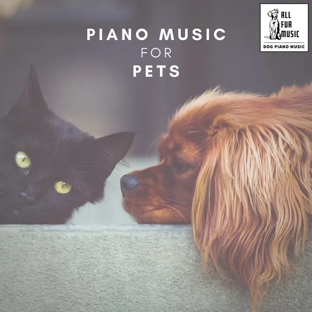 Piano Pet House