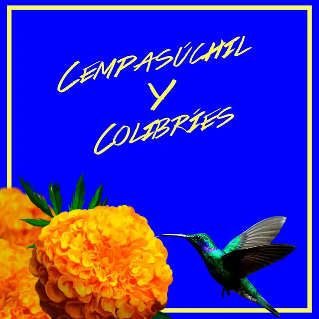 Cempasúchil y Colibríes