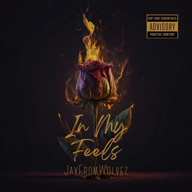 In My Feels - Radio Edit