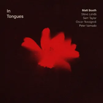 In Tongues by Matt Booth