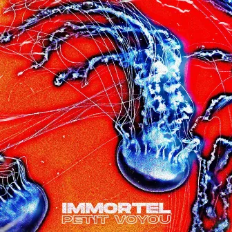 Immortel by Petit Voyou