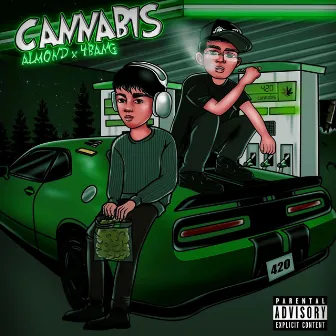 Cannabis by ALMOND