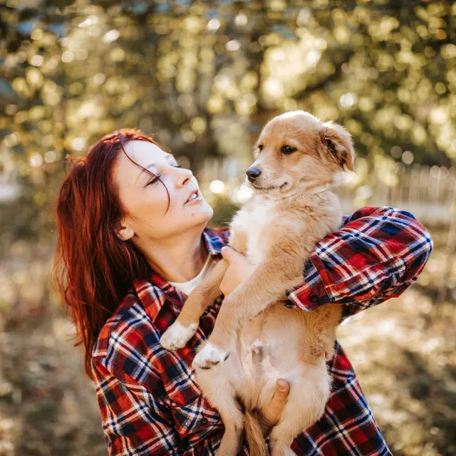 Harmonic Nature Bonding Journey: Ambient Birds for Quality Pet Time