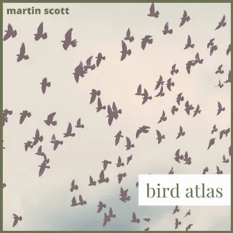 Bird Atlas by Martin Scott