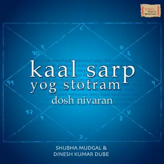 Kaal Sarp Yog Stotram by Dinesh Kumar Dube