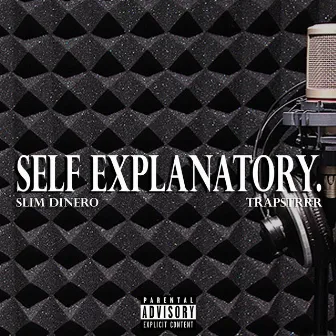 Self Explanatory by Slim Dinero