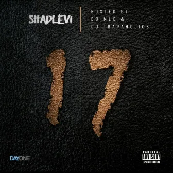 17 by Shad Levi