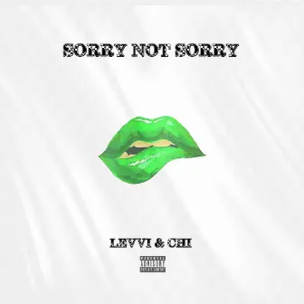 Sorry Not Sorry by Levvi