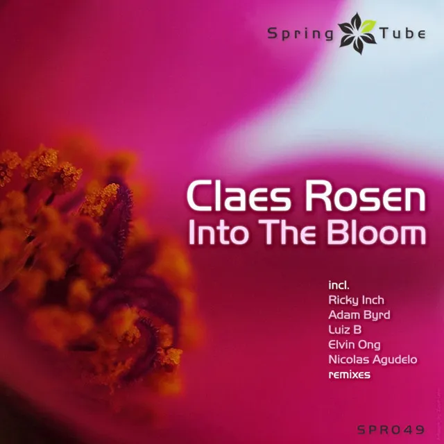 Into the Bloom - Nicolas Agudelo Remix