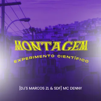 Montagem - Experimento Científico by DJ SDF