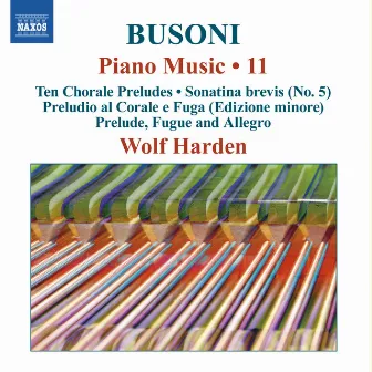 Busoni: Piano Music, Vol. 11 by Ferruccio Busoni