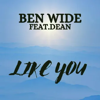 Like You by Ben Wide