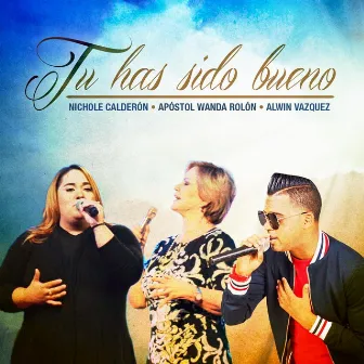 Tu Has Sido Bueno (feat. Apostol Wanda Rolon & Alwin Vazquez) by Nichole Calderon