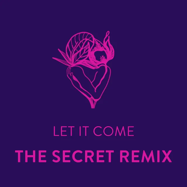 Let It Come (The Secret Remix)