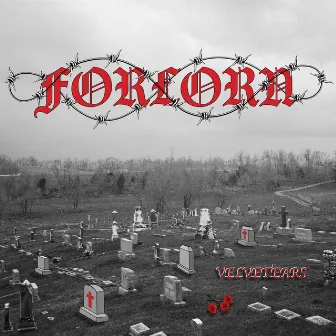 Forlorn by VELVETEARS