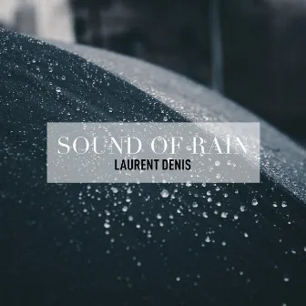 Sound of Rain by Laurent Denis