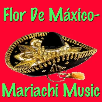 Flor De Máxico - Mariachi Music by Mexican Mariachi Band