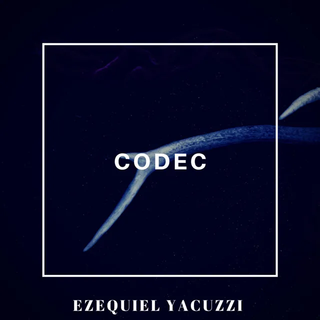 Codec