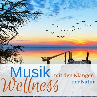 Wellness Musik - Zum Entspannen, Schlafen, Träumen, mit den Klängen der Natur, Vogelgesang, Wind, Grillen und Wassergeräusche by Schlafende Frequenzen