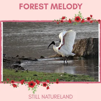 Forest Melody - Still NatureLand by Nature Radiance Project