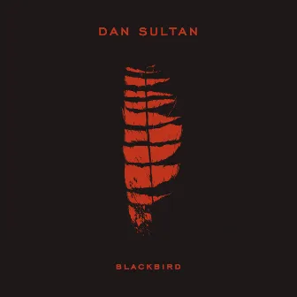 Blackbird by Dan Sultan