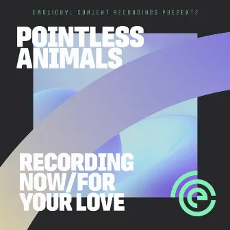 Recording Now by Pointless Animals