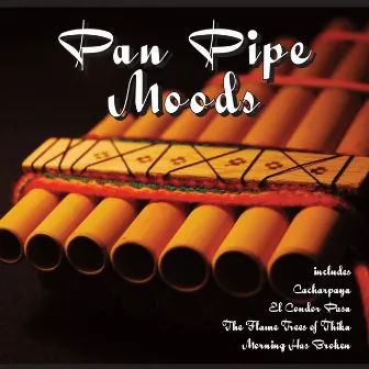 Pan Pipe Moods by Unknown Artist