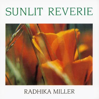 Sunlit Reverie by Radhika Miller