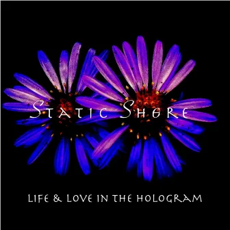 Life & Love in the Hologram by Static Shore