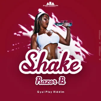 Shake by St.Kgn