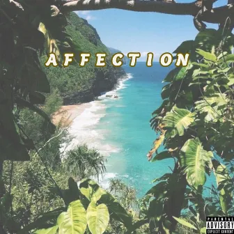 Affection by Zay Greedo