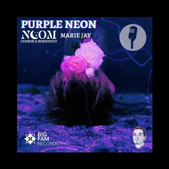 Purple Neon (Radio Edit) by Noom