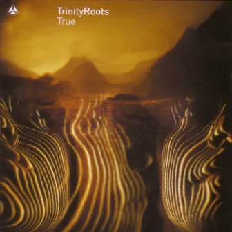 True by TrinityRoots