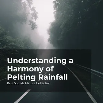 Understanding a Harmony of Pelting Rainfall by Sleepy Rain