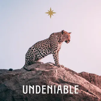 Undeniable by Sookz