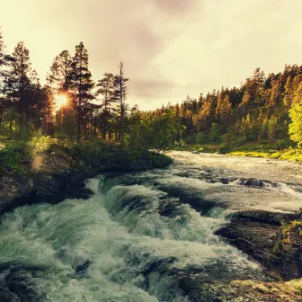 River's Lullaby: Nature's Serene Waters by the river scout