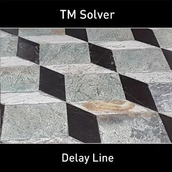 Delay Line by TM Solver