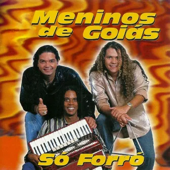 Só Forró by Meninos de Goias