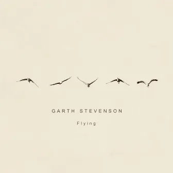 Flying by Garth Stevenson