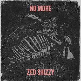 No More by Zed Shizzy