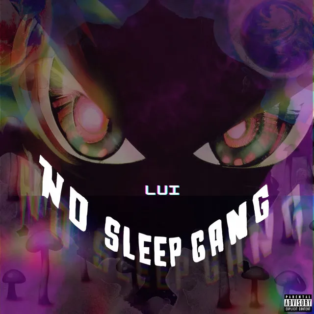 No Sleep Gang